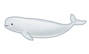 イルカ　哺乳類　進化