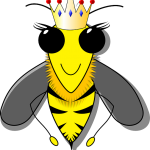 ミツバチ 女王蜂 選ばれ方
